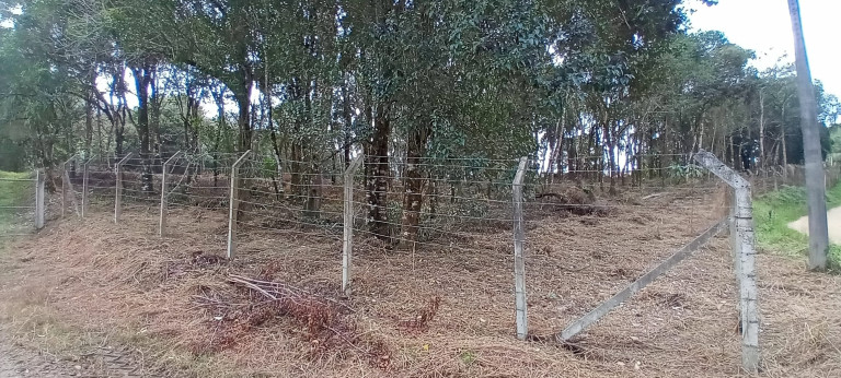 Imagem Chácara com 1 Quarto à Venda, 1 m² em Morro Do Cal - Campo Largo