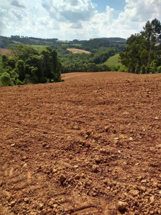 Imagem Imóvel à Venda, 76 m² em Contenda - Contenda