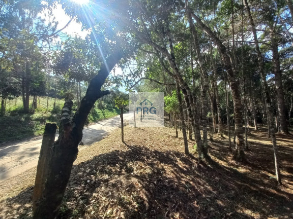 Imagem Terreno à Venda, 16.760 m² em Palestina - Juquitiba Imagem Terreno à Venda, 16.760 m² em Palestina - Juquitiba