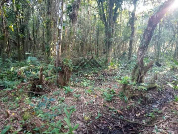 Imagem Chácara à Venda, 1.250 m² em Jardim Aguapeú - Itanhaém Imagem Chácara à Venda, 1.250 m² em Jardim Aguapeú - Itanhaém