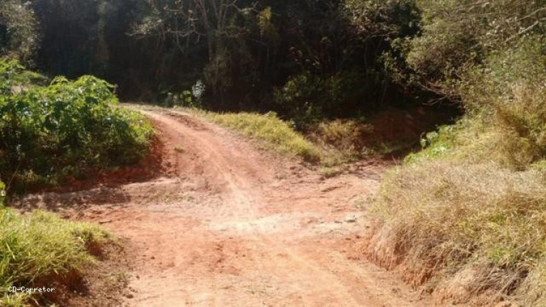 Imagem Terreno à Venda, 10.000 m² em Camanducaia Do Meio - Socorro Imagem Terreno à Venda, 10.000 m² em Camanducaia Do Meio - Socorro