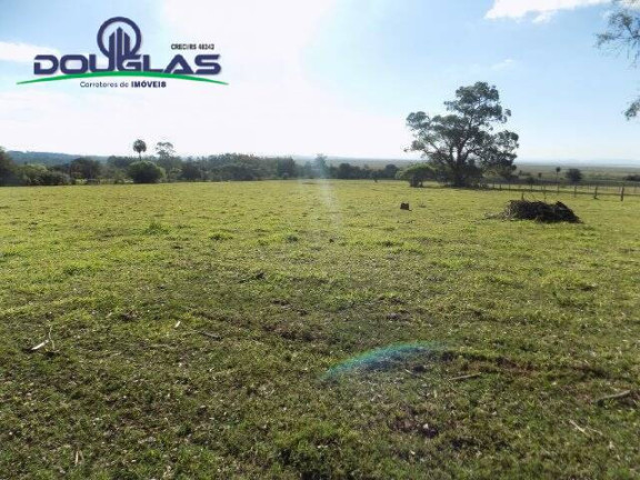 Chácara à Venda, 8 m² em águas Claras - Viamão