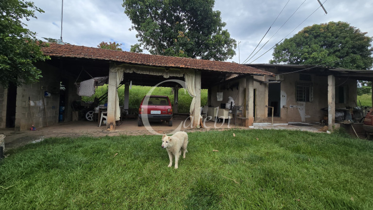 Imagem Chácara com 3 Quartos à Venda, 44.000 m² em Mato Seco - Mogi Guaçu Imagem Chácara com 3 Quartos à Venda, 44.000 m² em Mato Seco - Mogi Guaçu