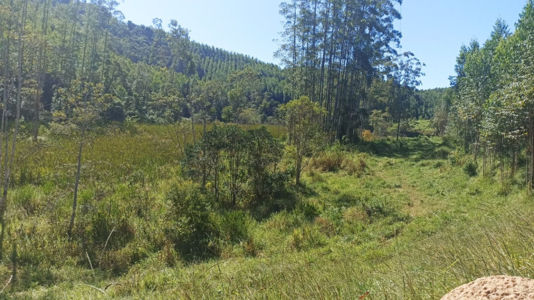 Imagem Chácara com 1 Quarto à Venda, 200 m² em Mirandão - Paraibuna