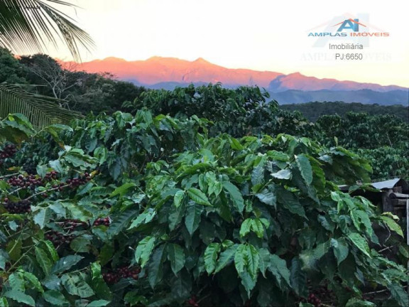 Imagem Fazenda à Venda, 35 m² em Manhumirim