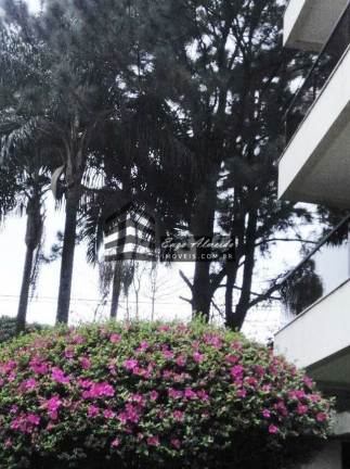 Imagem Apartamento com 4 Quartos à Venda, 267 m² em Moema - São Paulo Imagem Apartamento com 4 Quartos à Venda, 267 m² em Moema - São Paulo