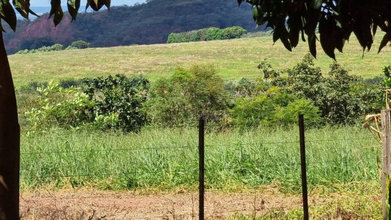 Imagem Fazenda à Venda, 2.400 m² em Paranatinga Imagem Fazenda à Venda, 2.400 m² em Paranatinga