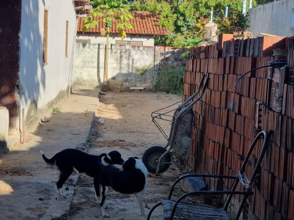 Imagem Terreno à Venda, 360 m² em Amador - Eusébio