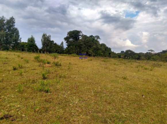 Imagem Imóvel com 2 Quartos à Venda, 21.808 m² em Jardim Itapituba - Contenda Imagem Imóvel com 2 Quartos à Venda, 21.808 m² em Jardim Itapituba - Contenda
