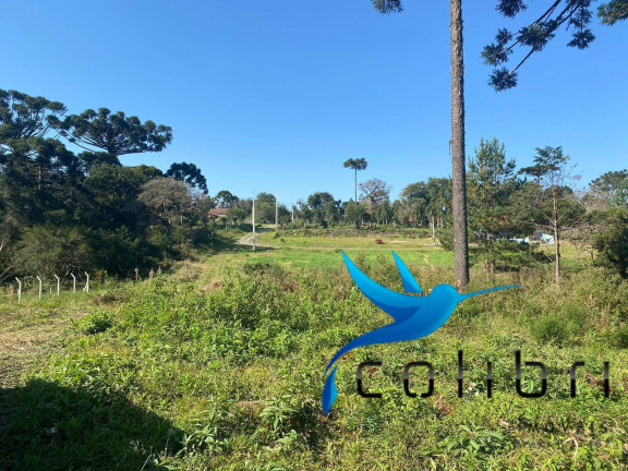 Terreno à Venda, 5.220 m² em Trigolândia - Piên