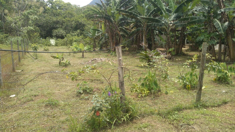 Imagem Chácara com 1 Quarto à Venda, 1.000 m² em Praia Da Maranduba - Ubatuba