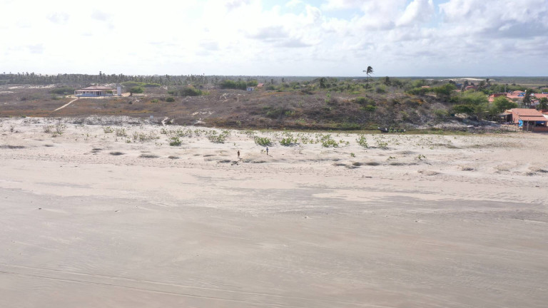 Imagem Terreno à Venda, 20.000 m² em Praia De Bitupitá - Barroquinha