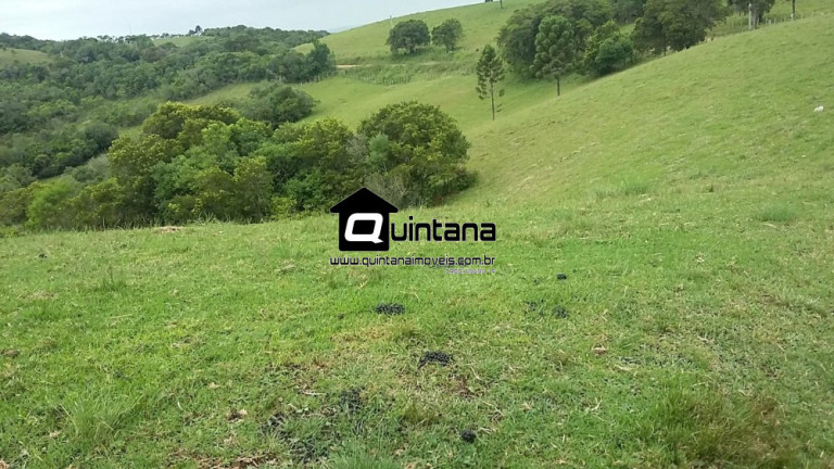 Imagem Imóvel com 2 Quartos à Venda, 8.000.000 m² em Centro - Santana Da Boa Vista Imagem Imóvel com 2 Quartos à Venda, 8.000.000 m² em Centro - Santana Da Boa Vista
