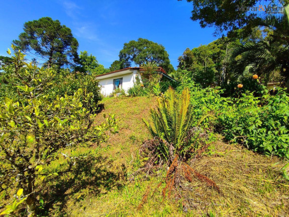 Imagem Imóvel com 2 Quartos à Venda, 7.724 m² em Loteamento Chácara Chantecler - Piraquara Imagem Imóvel com 2 Quartos à Venda, 7.724 m² em Loteamento Chácara Chantecler - Piraquara