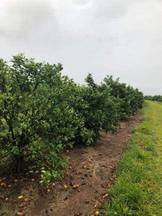Imagem Chácara à Venda, 14 m² em Rural - águas De Santa Bárbara
