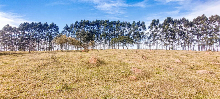 Imagem Terreno à Venda, 21.000 m² em Tuiuti Imagem Terreno à Venda, 21.000 m² em Tuiuti