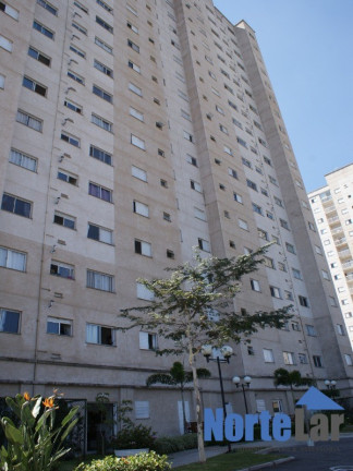 Imagem Apartamento com 2 Quartos à Venda, 47 m² em Jardim Modelo - São Paulo Imagem Apartamento com 2 Quartos à Venda, 47 m² em Jardim Modelo - São Paulo
