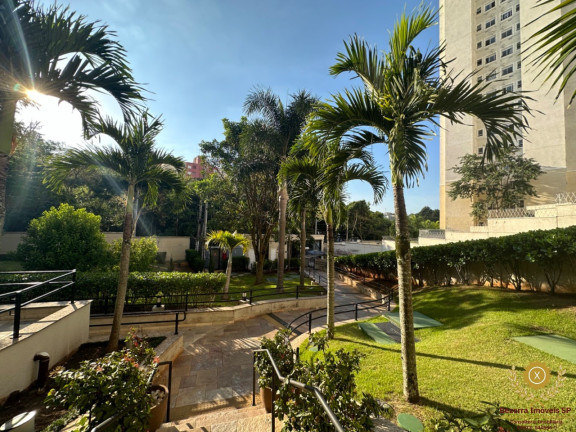 Imagem Imóvel com 3 Quartos à Venda, 70 m² em Jardim Leonor Mendes De Barros - São Paulo Imagem Imóvel com 3 Quartos à Venda, 70 m² em Jardim Leonor Mendes De Barros - São Paulo
