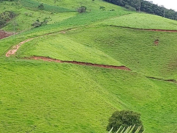 Imagem Fazenda à Venda, 1.000 m² em Campos De Cunha  - Cunha
