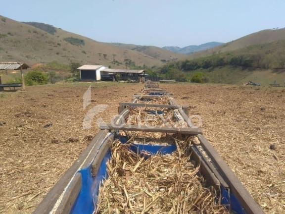 Imagem Fazenda à Venda, 90 m² em Zona Rural - São Luíz Do Paraitinga