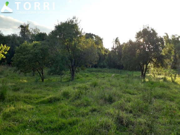 Imagem Imóvel com 3 Quartos à Venda, 23.800 m² em Centro - Boituva Imagem Imóvel com 3 Quartos à Venda, 23.800 m² em Centro - Boituva