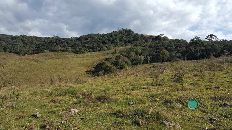 Imagem Terreno à Venda, 450.000 m² em Zona Rural - Bom Retiro Imagem Terreno à Venda, 450.000 m² em Zona Rural - Bom Retiro