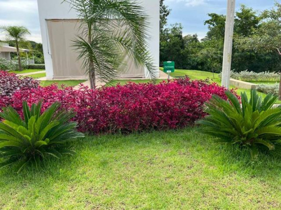 Imagem Casa de Condomínio com 3 Quartos à Venda, 230 m² em Condomínio Belvedere Ii - Cuiabá Imagem Casa de Condomínio com 3 Quartos à Venda, 230 m² em Condomínio Belvedere Ii - Cuiabá