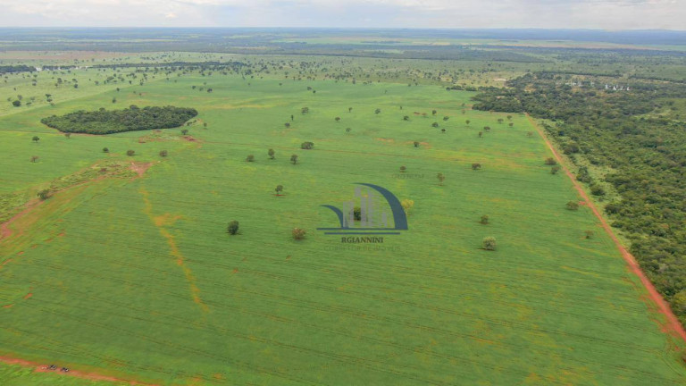 Imagem Fazenda à Venda, 626.634.800.000 m² em Jd Sta Bárbara - Palmas