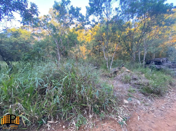 Imagem Terreno à Venda, 20.000 m² em Alvarenga - São Bernardo Do Campo Imagem Terreno à Venda, 20.000 m² em Alvarenga - São Bernardo Do Campo