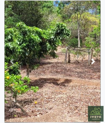 Imagem Casa com 3 Quartos à Venda, 350 m² em Serra Negra Imagem Casa com 3 Quartos à Venda, 350 m² em Serra Negra