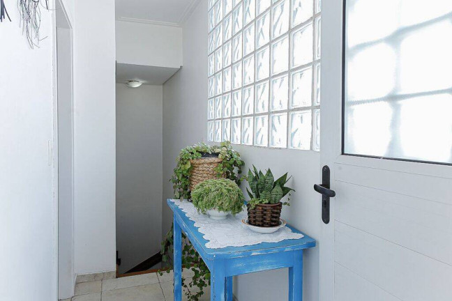 Imagem Apartamento com 3 Quartos à Venda, 115 m² em Vila Formosa - São Paulo