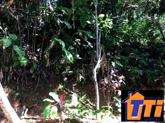 Imagem Terreno à Venda, 1.010 m² em Toninhas - Ubatuba Imagem Terreno à Venda, 1.010 m² em Toninhas - Ubatuba