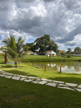 Imagem Chácara com 2 Quartos à Venda, 7.700 m² em Centro - Trindade Imagem Chácara com 2 Quartos à Venda, 7.700 m² em Centro - Trindade