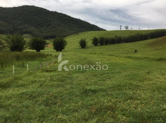 Imagem Fazenda à Venda, 400 m² em Jardim Prado - Santa Branca Imagem Fazenda à Venda, 400 m² em Jardim Prado - Santa Branca