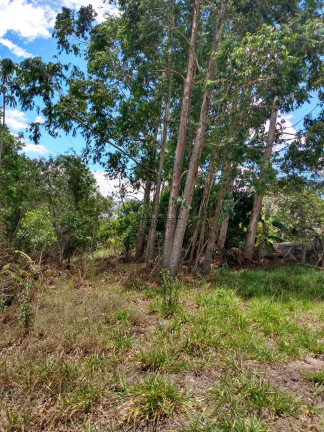 Imagem Imóvel à Venda, 48.000 m² em São Marcos - Bofete Imagem Imóvel à Venda, 48.000 m² em São Marcos - Bofete