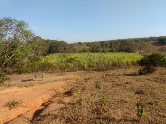 Imagem Imóvel com 3 Quartos à Venda, 1.000 m² em Zona Rural - Baldim