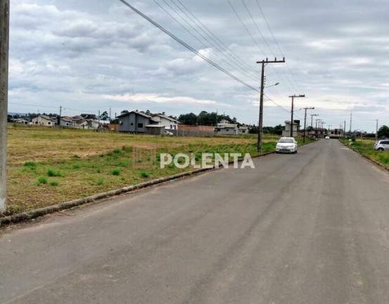 Imagem Terreno à Venda,  em São Defende - Criciúma