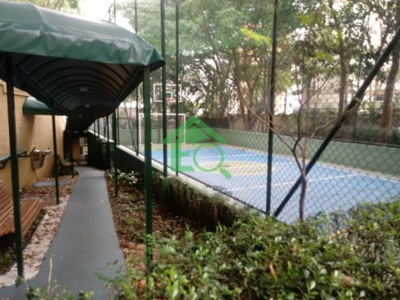 Imagem Apartamento com 3 Quartos à Venda, 64 m² em Vila Sofia - São Paulo