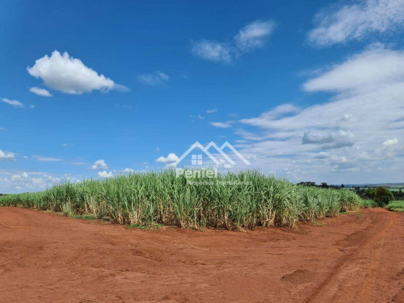 Imagem Fazenda à Venda, 500 m² em Luis Antonio - Luís Antônio Imagem Fazenda à Venda, 500 m² em Luis Antonio - Luís Antônio