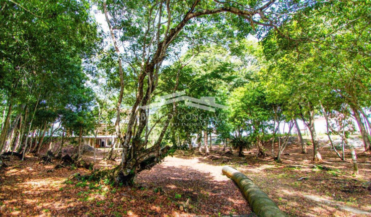 Imagem Terreno à Venda, 500 m² em Porto Seguro Imagem Terreno à Venda, 500 m² em Porto Seguro