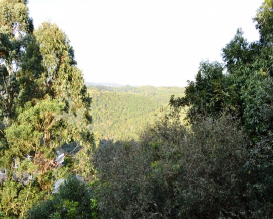 Imagem Imóvel com 3 Quartos à Venda, em Pousada Da Neve - Nova Petrópolis Imagem Imóvel com 3 Quartos à Venda, em Pousada Da Neve - Nova Petrópolis