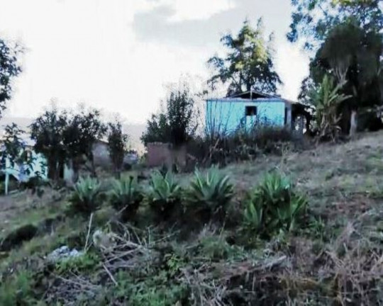 Imagem Imóvel à Venda, 3.000 m² em Morro Das Batatas - Feliz Imagem Imóvel à Venda, 3.000 m² em Morro Das Batatas - Feliz