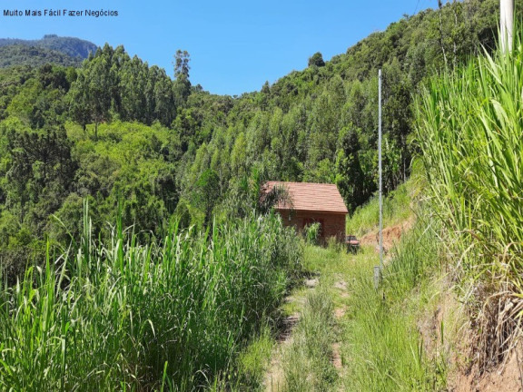 Imagem Imóvel com 2 Quartos à Venda, 130 m² em Linha Pirajá Baixa - Nova Petrópolis Imagem Imóvel com 2 Quartos à Venda, 130 m² em Linha Pirajá Baixa - Nova Petrópolis