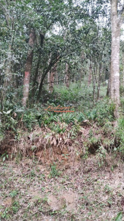 Imagem Chácara à Venda, 2.100 m² Imagem Chácara à Venda, 2.100 m²