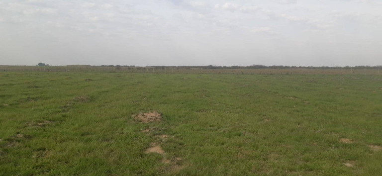 Imagem Terreno à Venda, 16 m² em Itaqui Imagem Terreno à Venda, 16 m² em Itaqui
