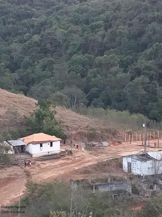 Imagem Imóvel à Venda, 10 m² em Sitio Capituvas - Bandeira Do Sul Imagem Imóvel à Venda, 10 m² em Sitio Capituvas - Bandeira Do Sul
