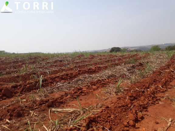 Imagem Imóvel com 1 Quarto à Venda, 242.000 m² em Centro - Capivari Imagem Imóvel com 1 Quarto à Venda, 242.000 m² em Centro - Capivari