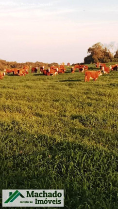 Imagem Imóvel à Venda, 4.400.000 m² em Rural - Itacurubi Imagem Imóvel à Venda, 4.400.000 m² em Rural - Itacurubi
