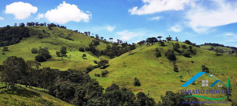 Imagem Chácara à Venda, 24 m² em Centro - Paraisópolis