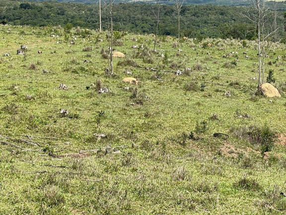 Imagem Fazenda à Venda, 24 m² em Centro - Luziânia